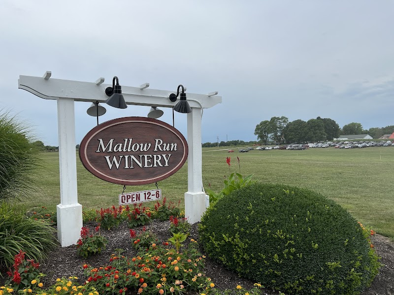 Mallow Run LLC