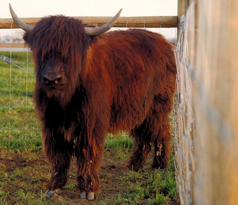 Woolly Yak Ranch & Winery, LLC